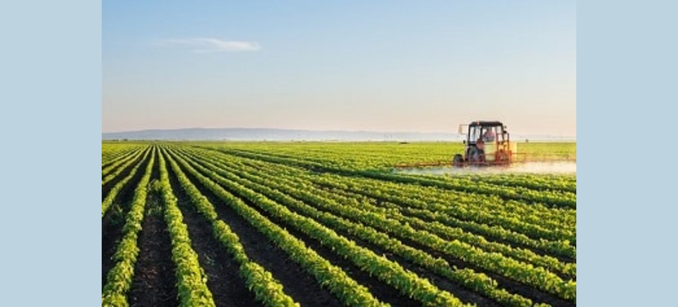 New farm bills will allow Indian farmers to reach out to Walmart, Amazon