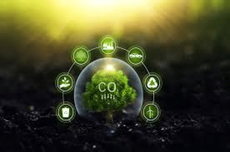 India’s Low Carbon Transition