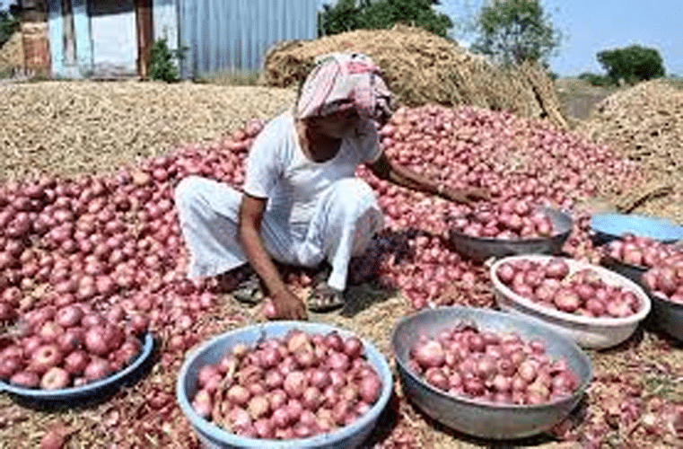 investigated, demand farmers