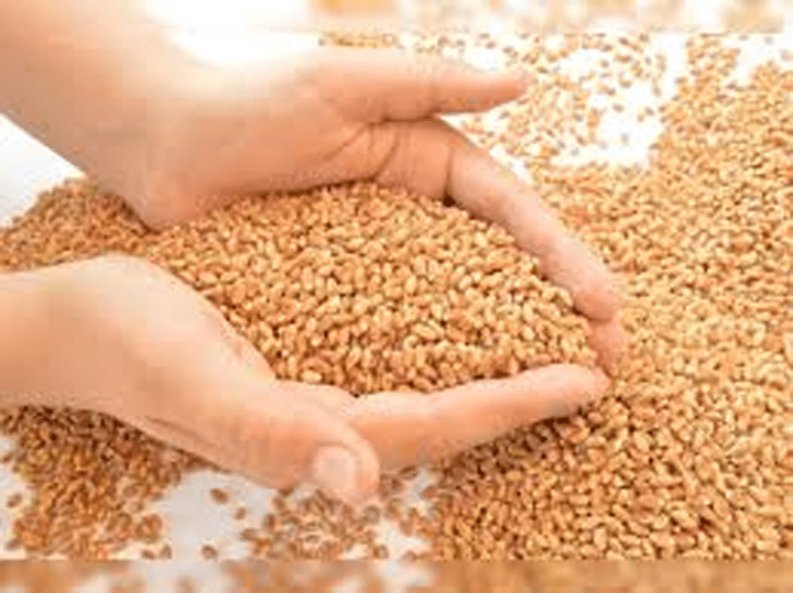 wheat to check hoarding