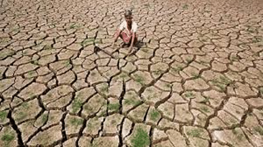80% of marginal farmers in India
