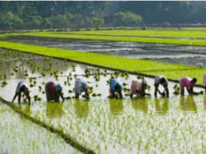 implications for everything from agriculture to health